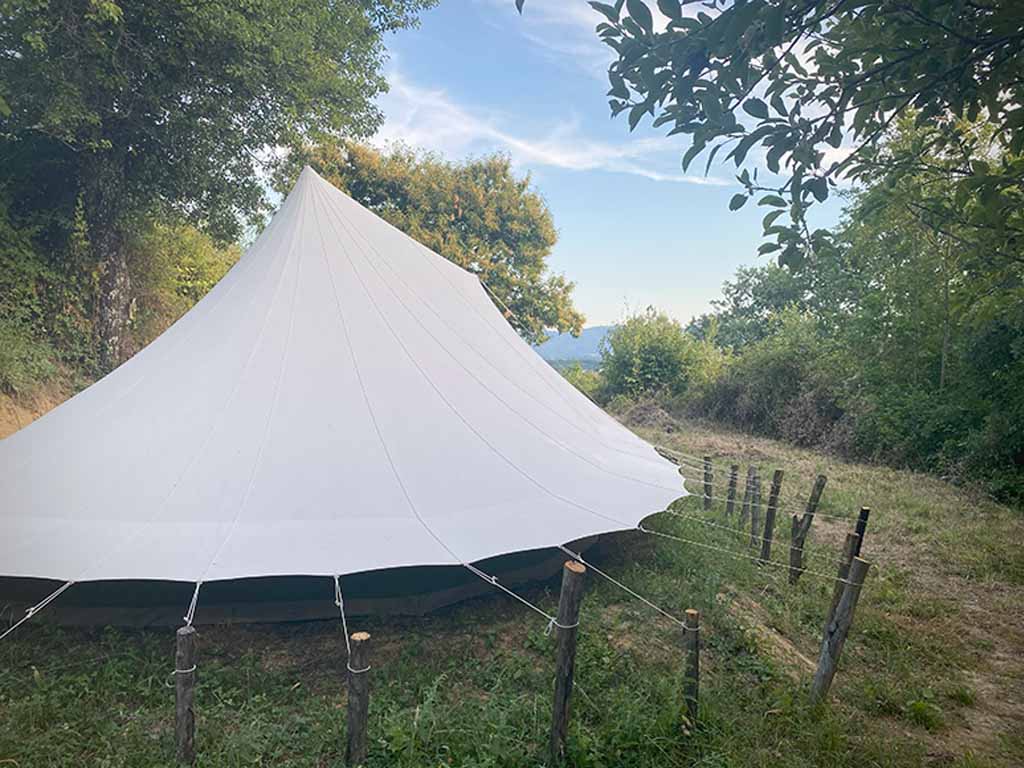 Tentplek tussen bomen