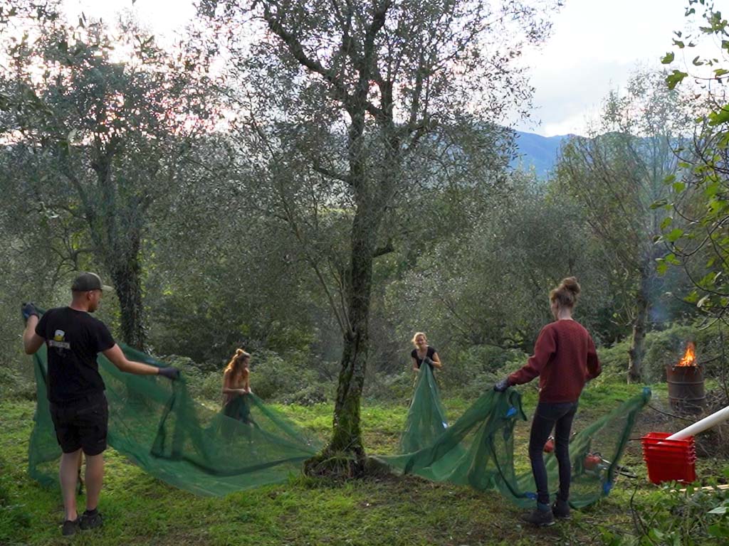 Werkvakantie Toscana